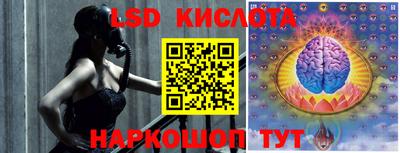 дурь Сланцы