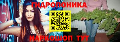 дурь Сланцы