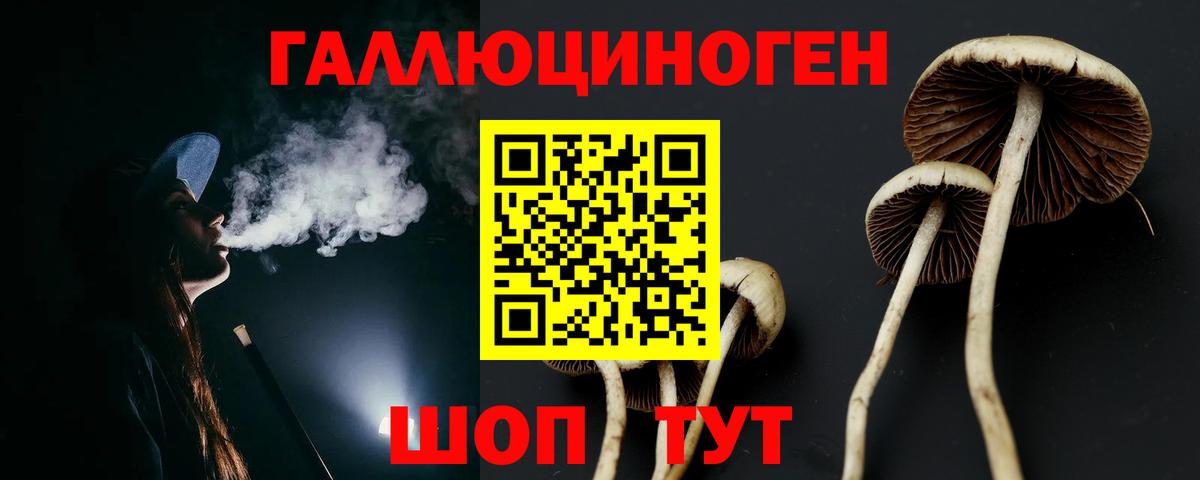 где купить   Псилоцибиновые грибы мицелий  Вход с VPN  Острогожск  Псилоцибиновые грибы ЛСД 